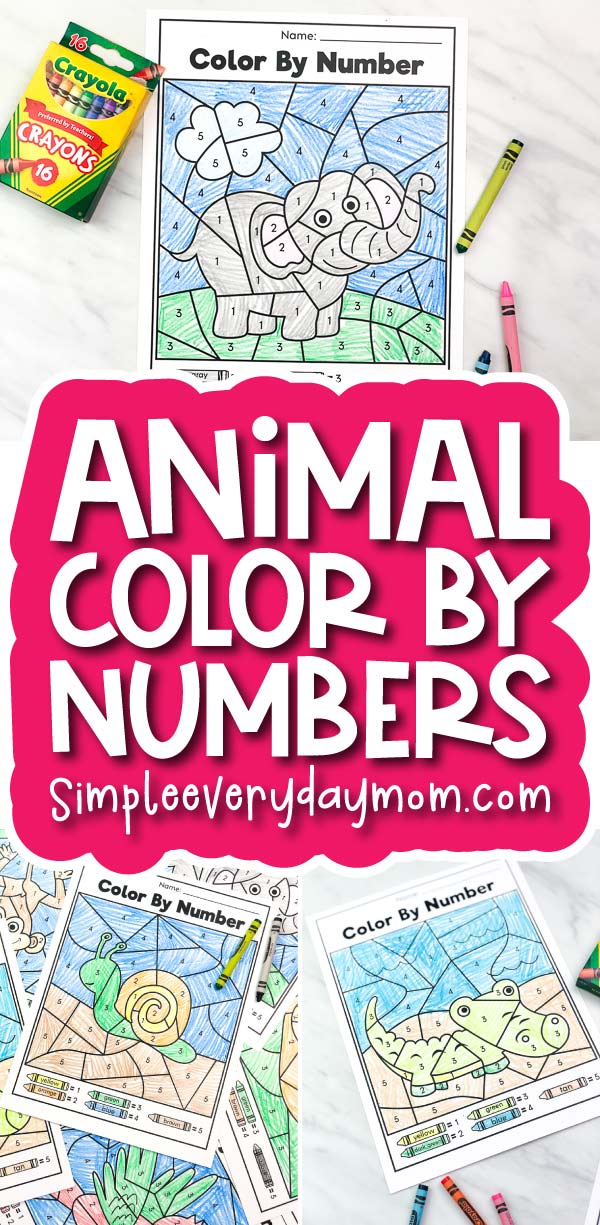 Pre K Color By Number Printables For Kids