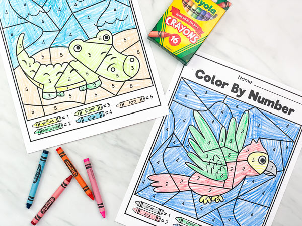 alligator and parrot color by number printables