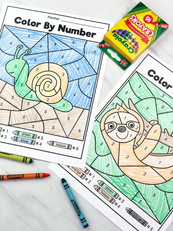 snail and sloth color by number printables 