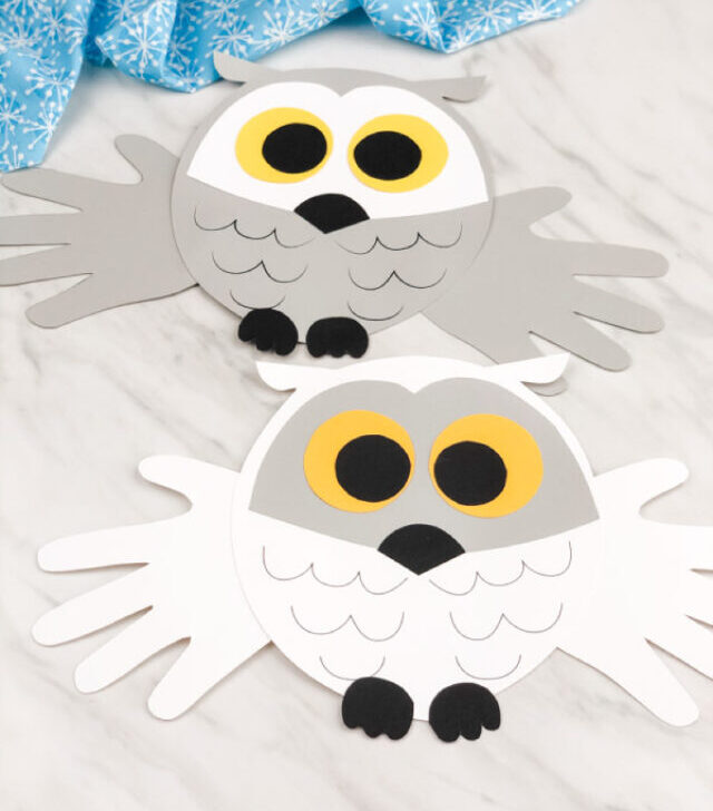 cropped-handprint-snowy-owl-craft-for-kindergarten-image.jpg