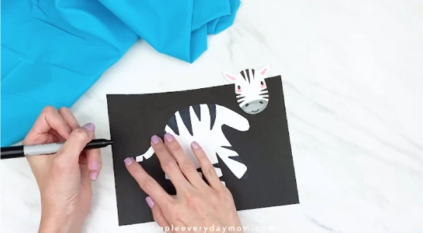 hands drawing stripes on zebra's tail 