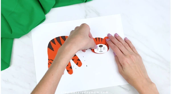 hands gluing tiger mouth area to head 