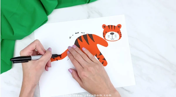 hands drawing on stripes to tiger tail 