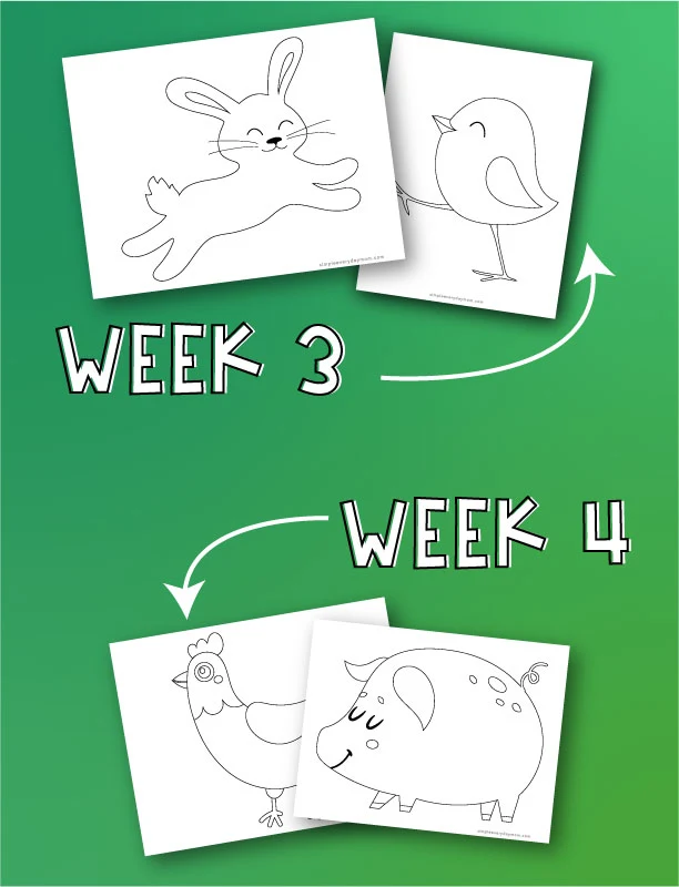 bunny, chick, rooster and pig  coloring pages with arrows pointing to both with words "week 3" and "week 4" 