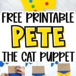 Pinterest Hidden Image