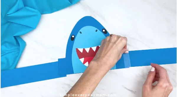 hands taping shark headband together 