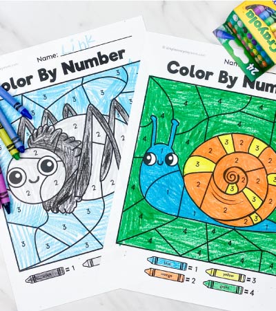 spider and snail color by number