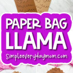 llama paper bag craft image collage with the words paper bag llama