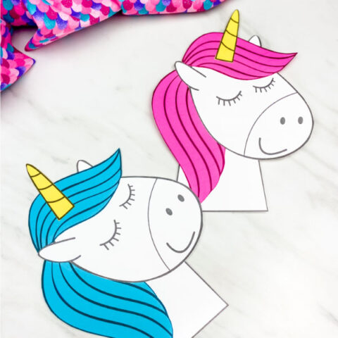blue and pink unicorn craft