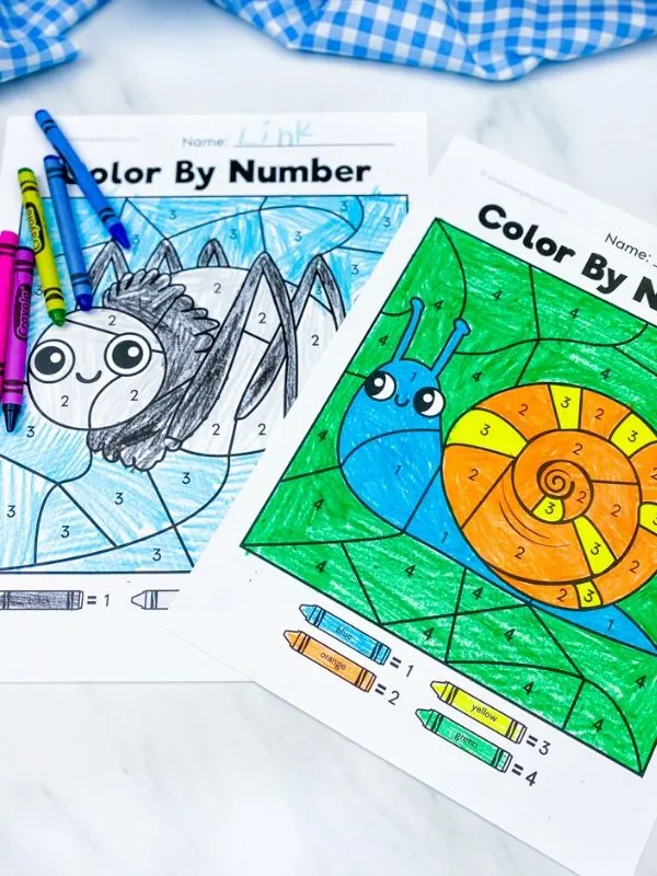 spider and snail color by number worksheets colored in with crayons 