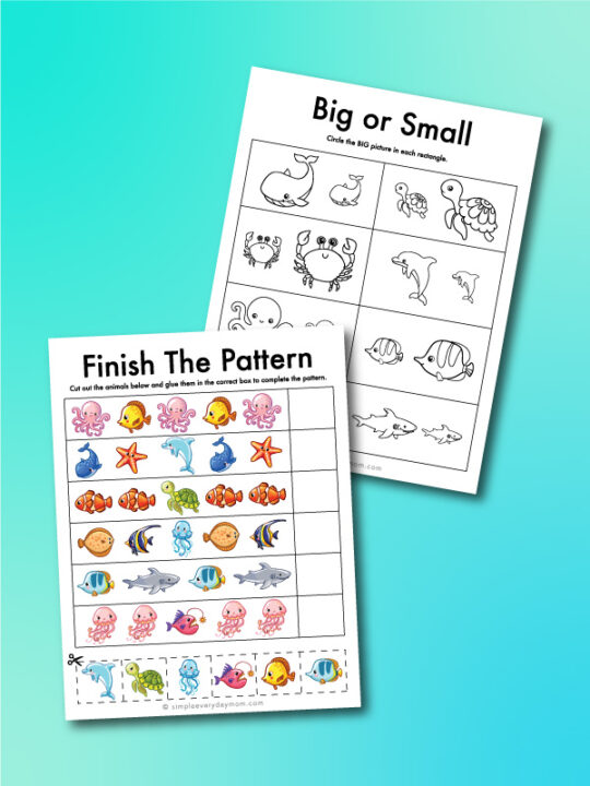 Ocean Animal Printable Preschool Worksheets