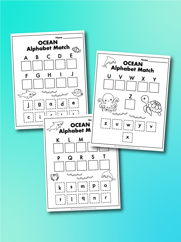 ocean animal worksheets