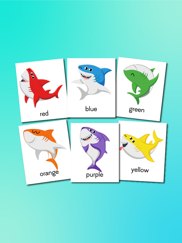 shark color flashcards