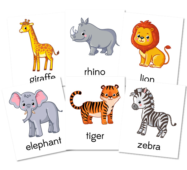 zoo animal flashcards 