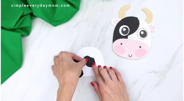 hands gluing cow spot to cow body