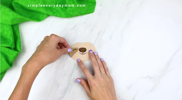 hands gluing on sloth eyes