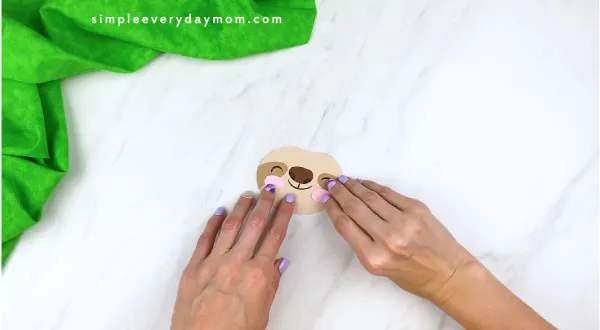 hands gluing on sloth cheeks