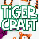 brown paper bag tiger cover image