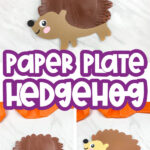 collage of paper plate hedgehog craft images with the words paper plate hedgehog in the middle