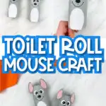 Toilet roll mouse craft images with the words “toilet roll mouse craft” in the middle