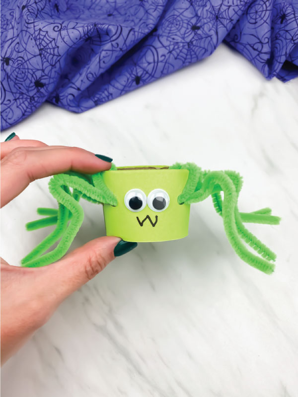 Toilet Paper Roll Pipe Cleaner Spiders