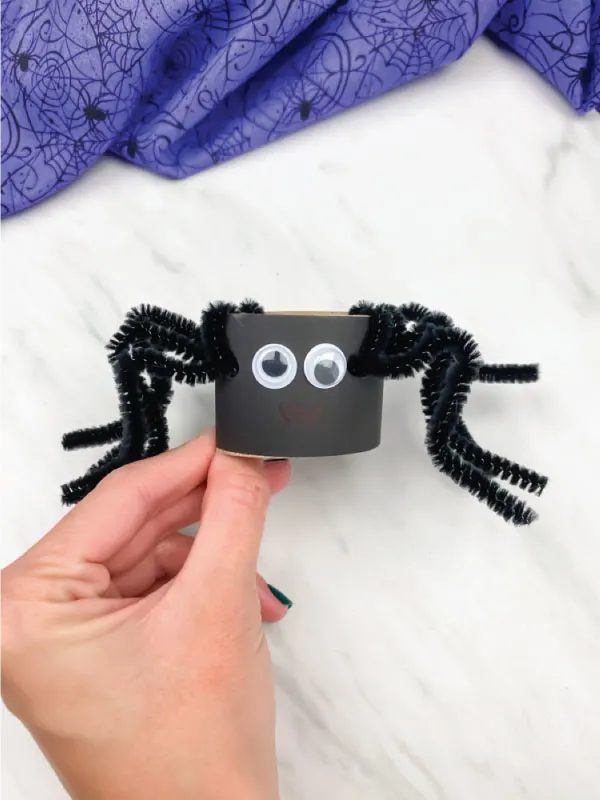 hand holding toilet paper roll pipe cleaner spider in black