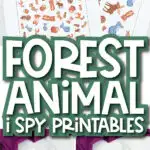 forest animal i spy printable image collage with the words forest animal i spy printables in the middle
