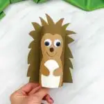 hand holding toilet paper roll hedgehog craft