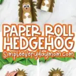 Hedgehog Toilet Paper Roll Craft [FREE Template]