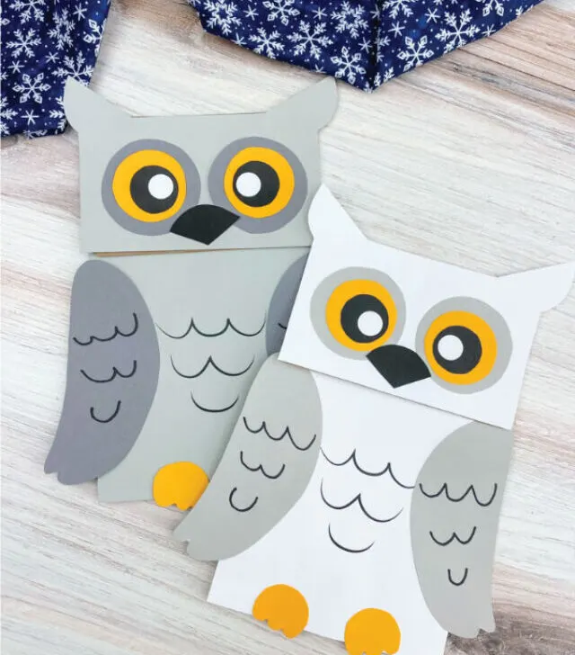 cropped-paper-bag-snowy-owl-craft-kids-image.jpg