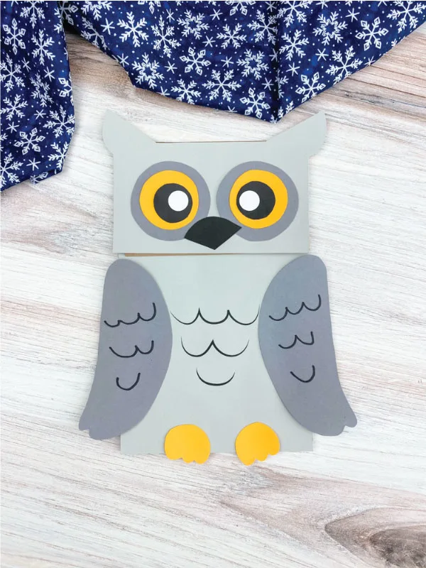 dark gray and light gray snowy owl craft