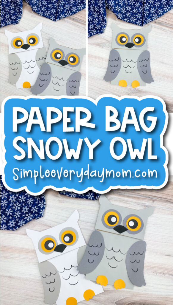 snowy owl craft for kids image collage with the words paper bag snowy owl 