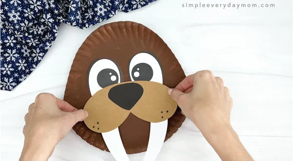 hand gluing mouth, nose, and tusks to paper plate walrus craft