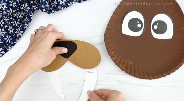 hand gluing tusks to paper plate walrus craft