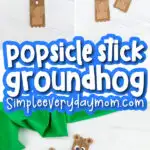 popsicle stick groundhog craft image collage with the words popsicle stick groundhog in the middle