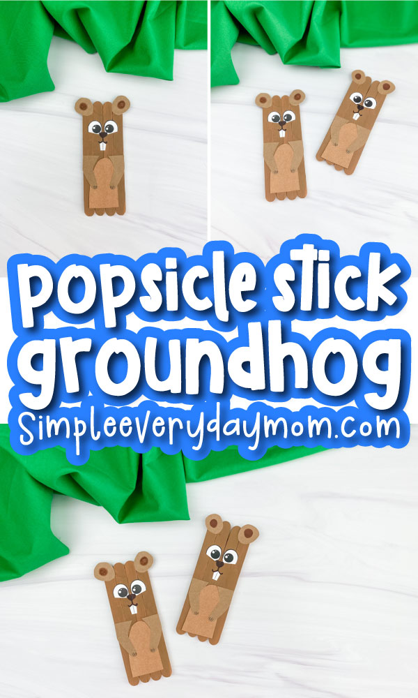 popsicle stick groundhog craft image collage with the words popsicle stick groundhog in the middle