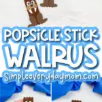 popsicle stick walrus craft image collage with the words popsicle stick walrus in the middle