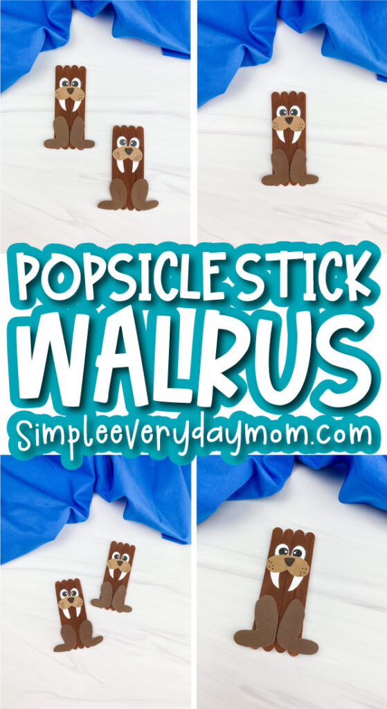 popsicle stick walrus craft image collage with the words popsicle stick walrus in the middle