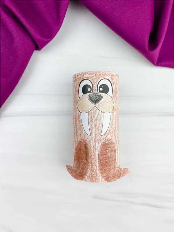 toilet paper roll walrus craft