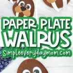 paper plate walrus craft image collage with the words paper plate walrus in the middle