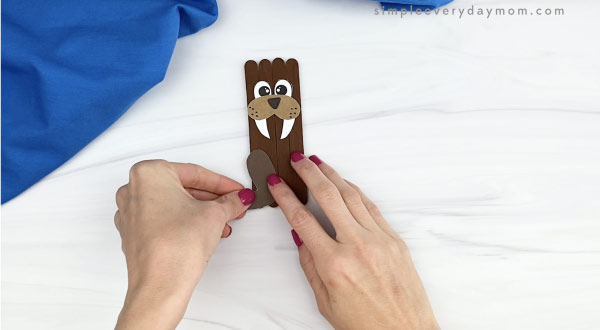 hand gluing flippers onto popsicle stick walrus craft