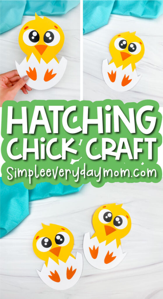 hatching chick craft image collage with the words hatching chick craft in the middle