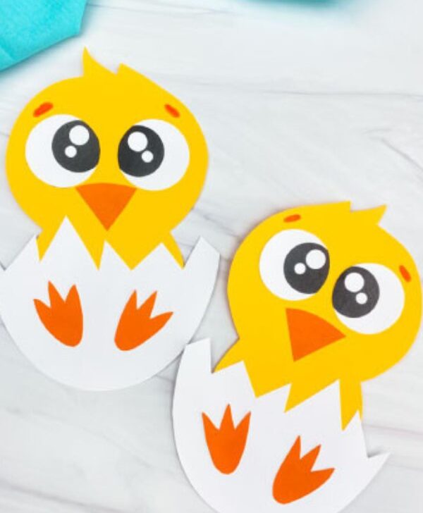 Featured image of two examples of finished chick craft ideas