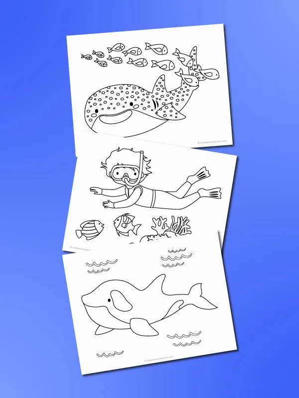 ocean coloring pages mockup on blue background