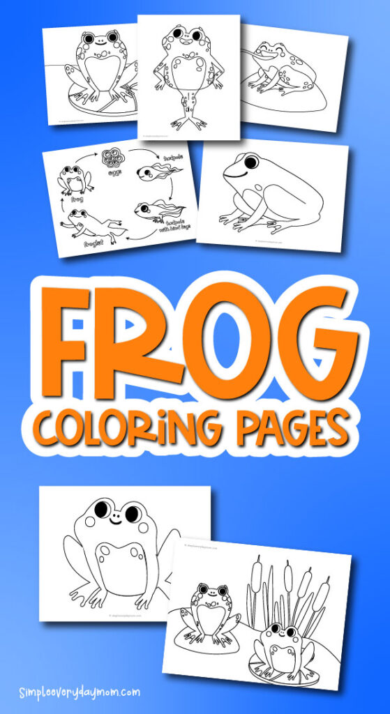 frog coloring pages mockup with the words frog coloring pages in the middle