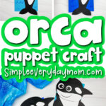 killer whale paper bag craft image collage with the words orca puppet craft