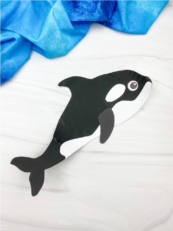 paper plate killer whale