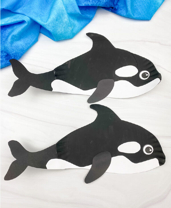 2 paper plate killer whales