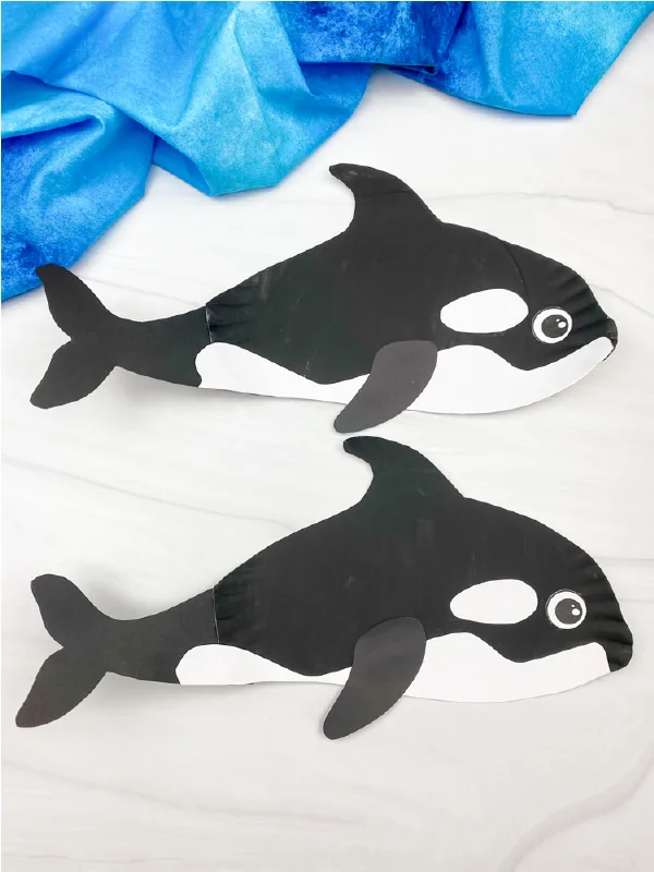 2 paper plate killer whales