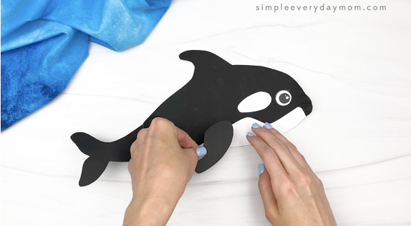 hand gluing flipper to paper plate whale